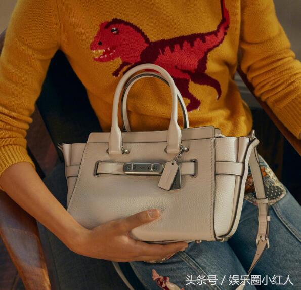 coach蔻驰city33黑灰色会小一点吗,coach蔻驰willow单肩斜挎小包相机包