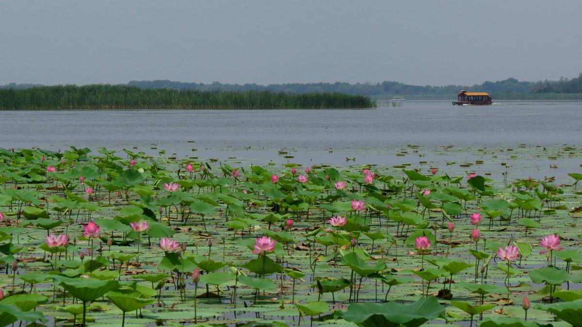 40T拓海玻璃钢厂家：欢迎来美丽的河北衡水做客