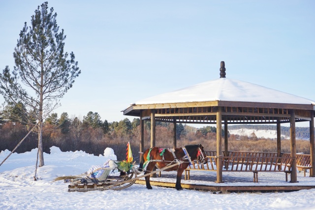 「新年目的地推荐一」金鸡之巅，边境梦雪，一路向北