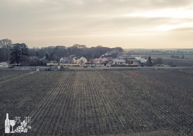 勃艮第和波尔多哪个好喝,勃艮第和波尔多酒杯