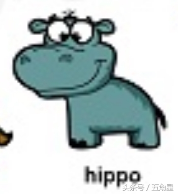 动物的英文单词都有哪些,动物英语单词13个