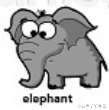 20个动物英语单词,2-8岁儿童学动物英文单词