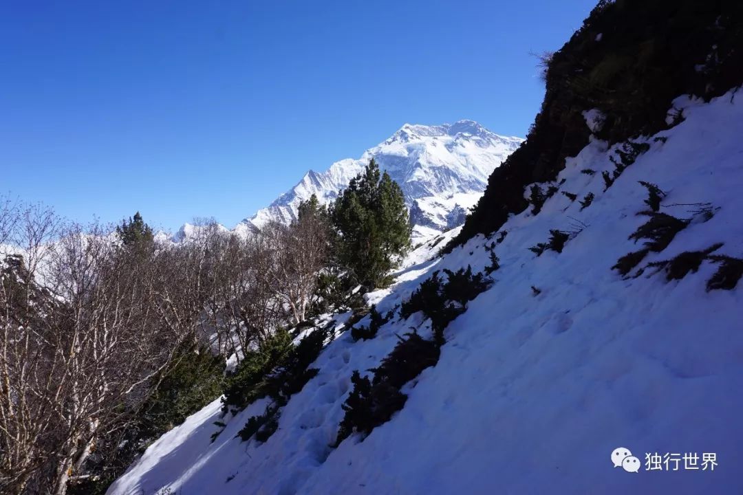 当你还在为生活抱怨,当你还在抱怨生活不易的时候
