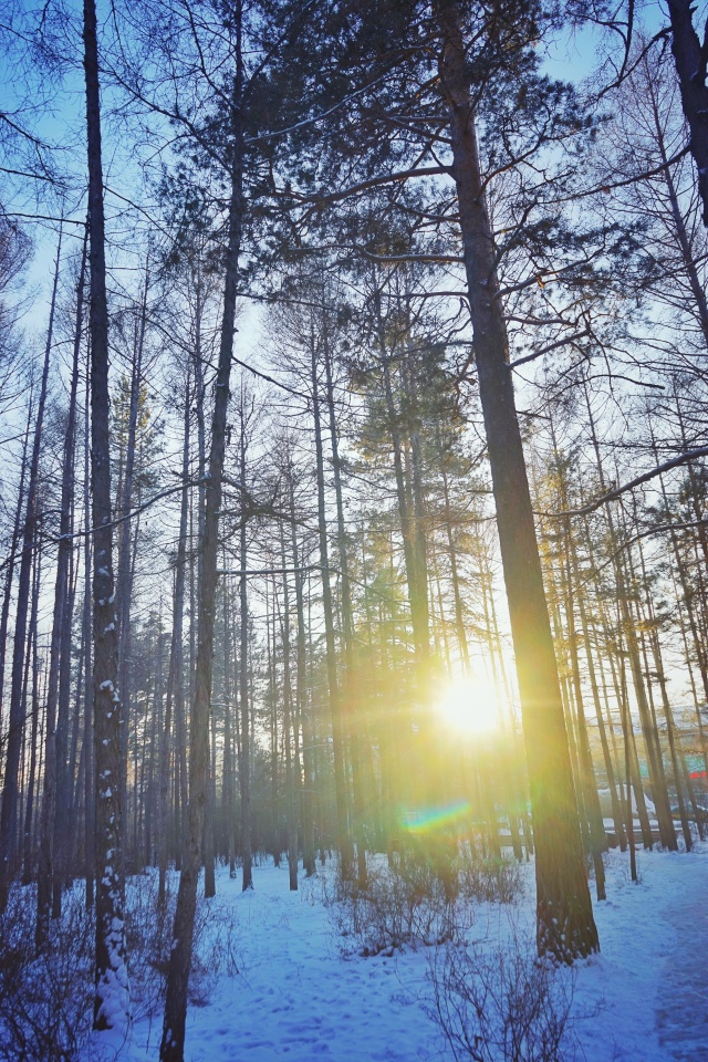 「新年目的地推荐一」金鸡之巅，边境梦雪，一路向北