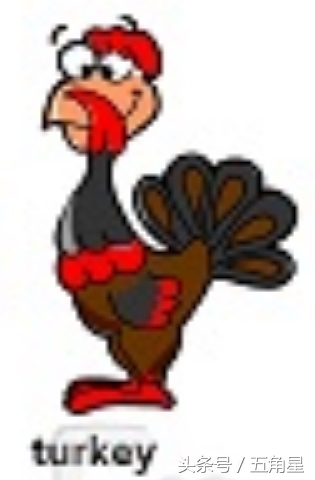 动物的英文单词都有哪些,动物英语单词13个