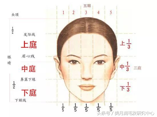 头发少发际线高怎么扎高马尾,发际线高怎么拯救头发少