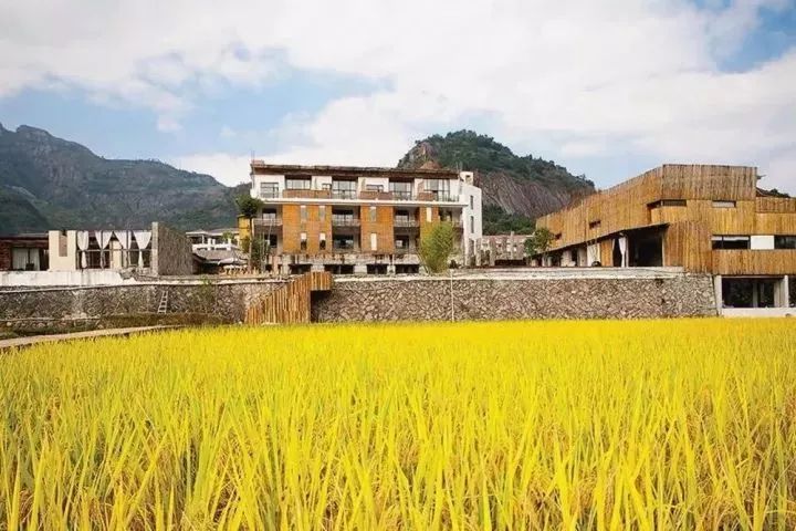 温州亲子民宿最新排行榜,温州民宿50-100一晚