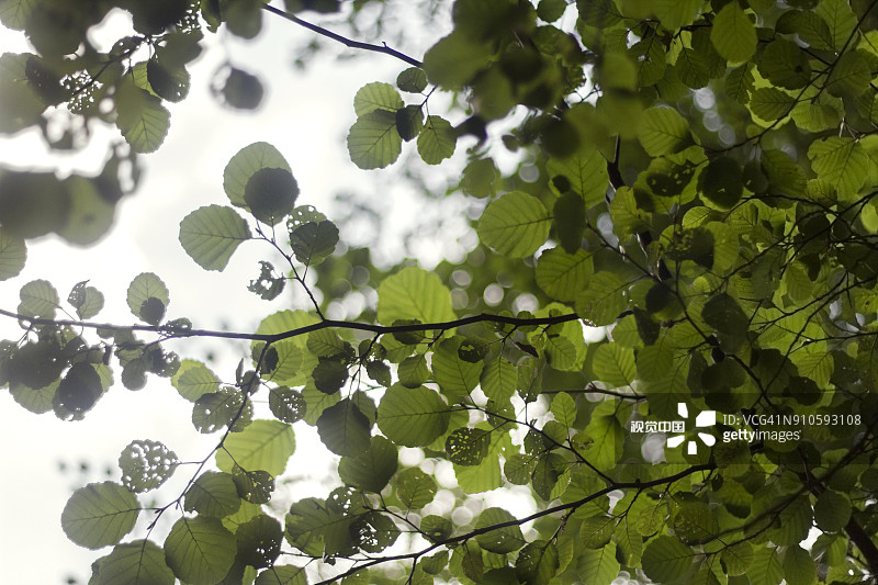 法考小白如何备战司法考试,法考2024年司法考试全套教材精讲