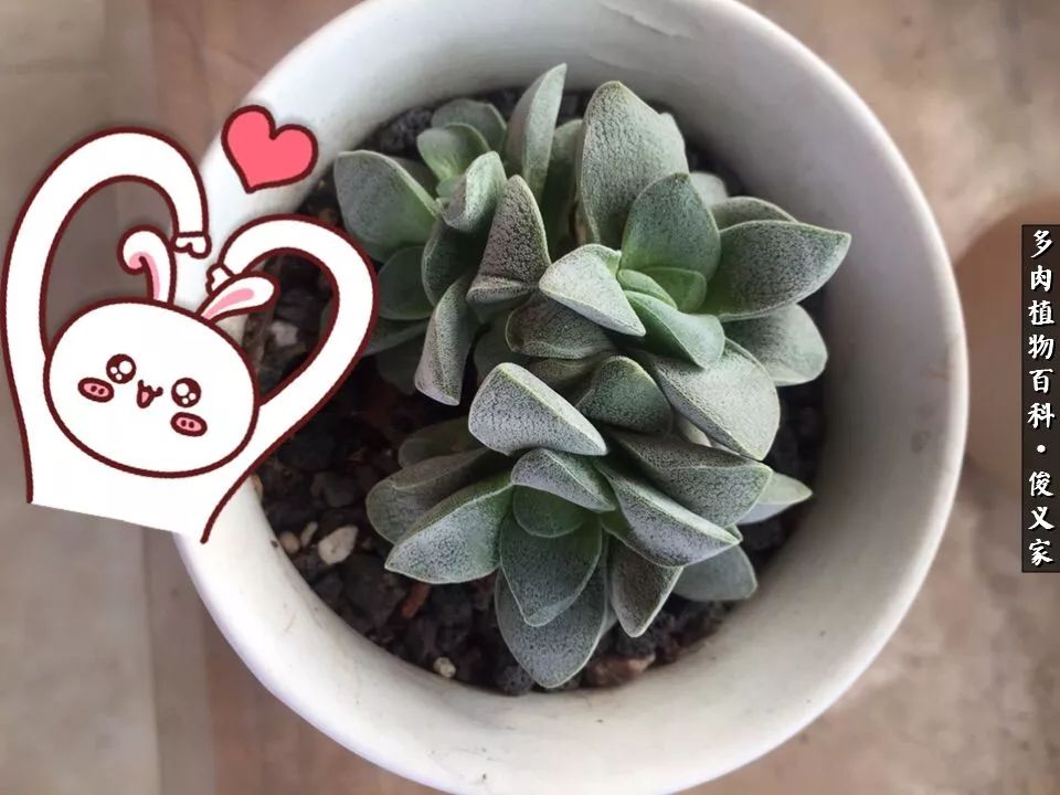 遇见你真是很幸运,遇见你真的很幸运下一句