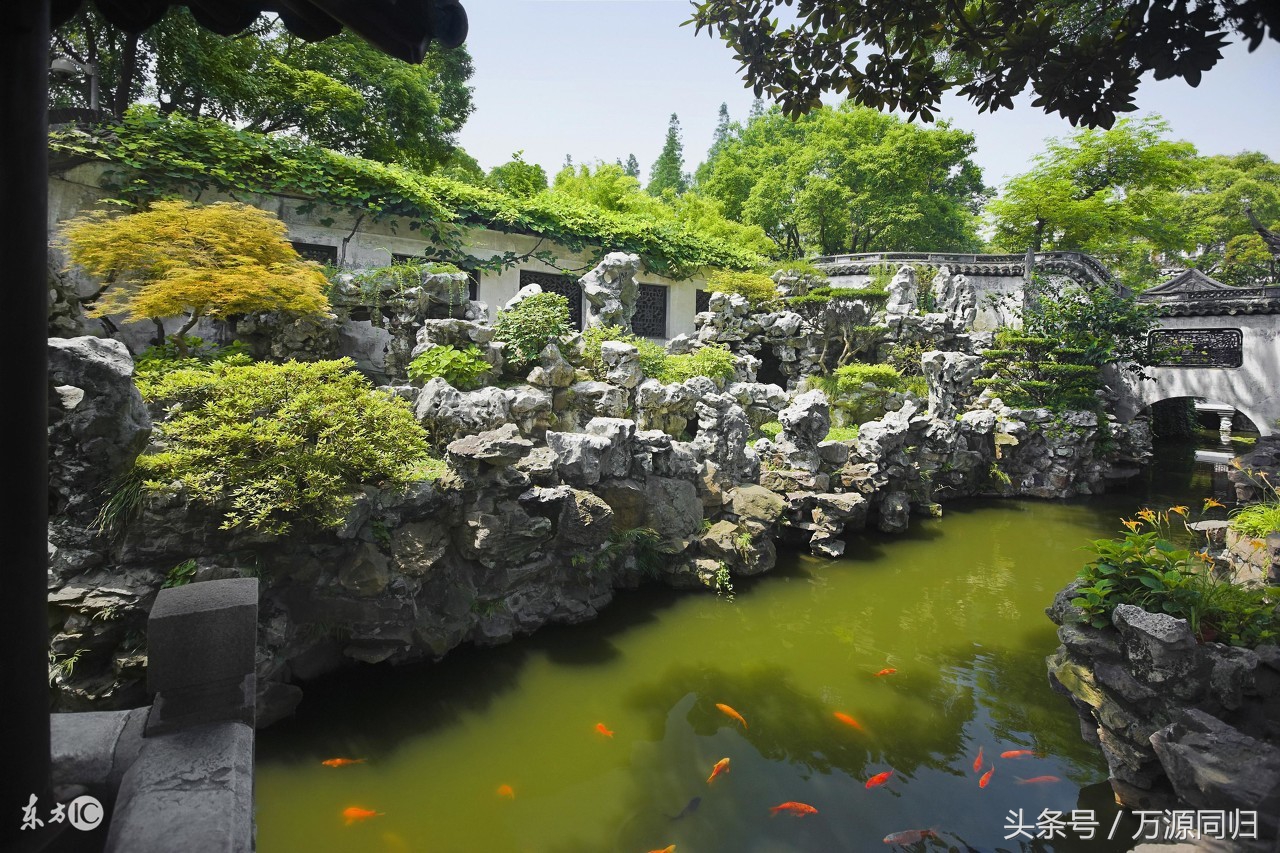 为保护动物，女富豪低调捐赠96亿！何巧女与东方园林的前世今生