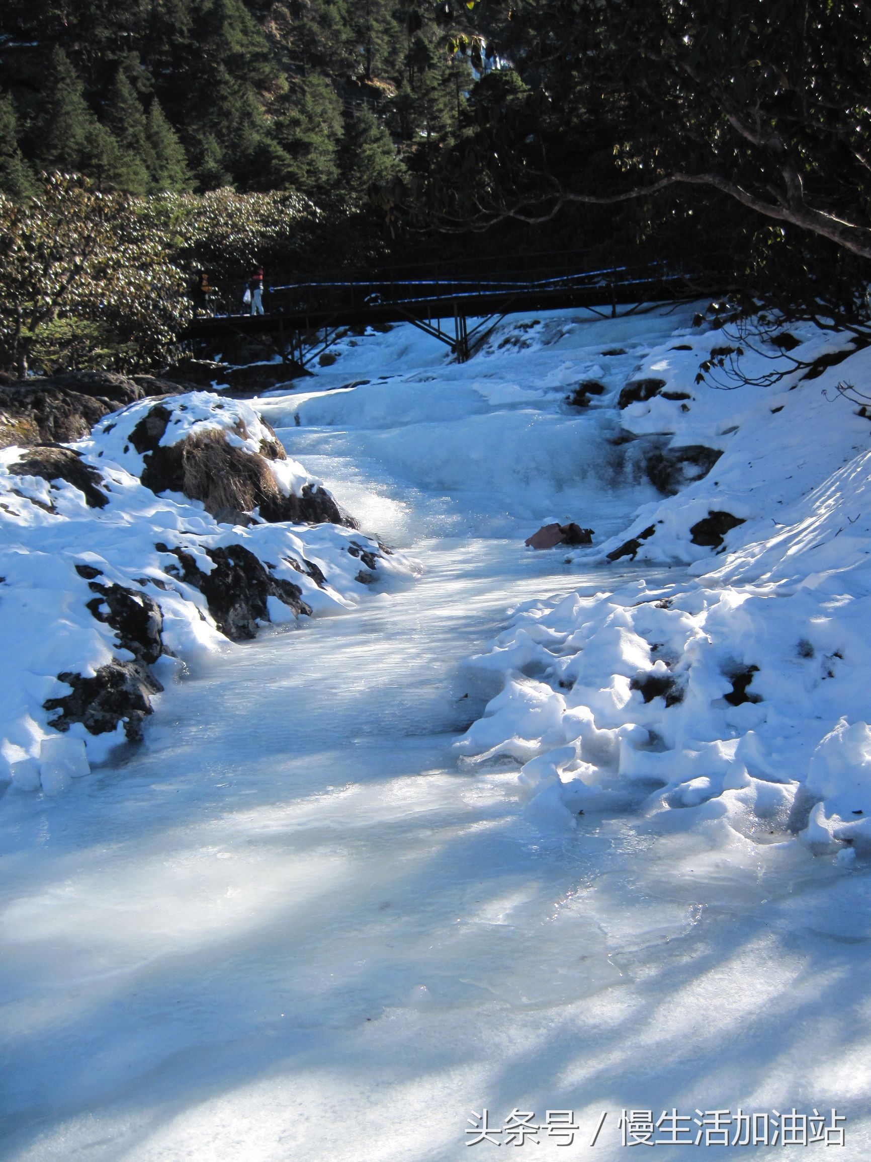 滇中轿子雪山风景区,滇中雪山