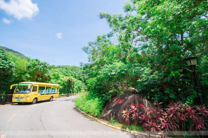 浪漫三亚视频,碧海蓝天椰风海韵浪漫三亚