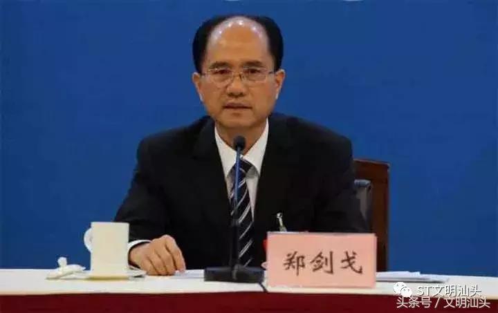 汕头龙湖郑剑戈,汕头市潮阳区长郑剑戈