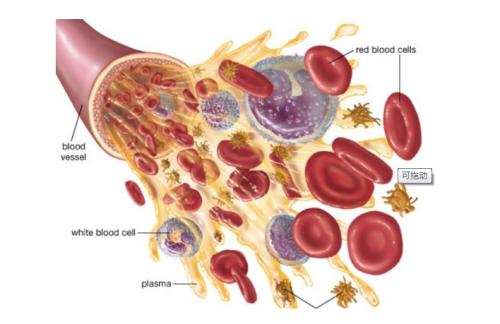 血液透析患者为什么二氧化碳低,血液透析患者为什么无尿
