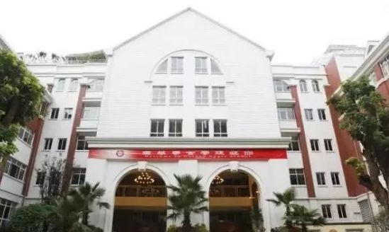 成都武侯区私立小学排名前十名,成都读公立小学还是私立小学好