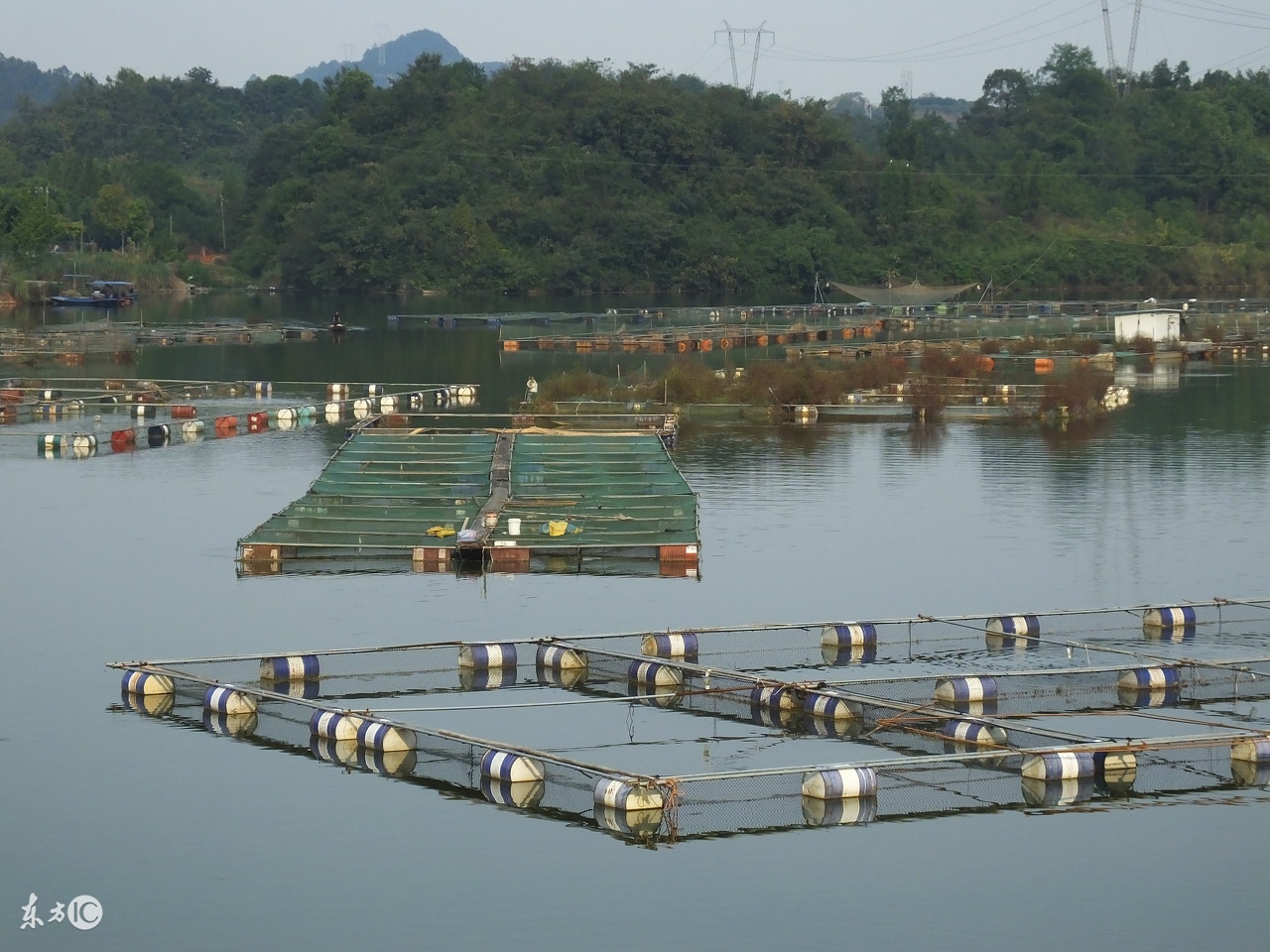 养殖水产一年几十万,水产养殖网箱可以用几年