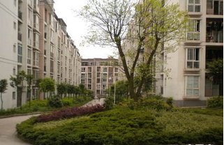 重庆融创白象街房子怎么样,重庆市融创白象街