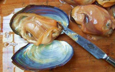 农村乡下水里的这些野货，你小时候有没有捉过？觉得好吃吗？