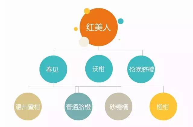 鏄ヨ鍜屾槑鏃ヨ鍜屾矁鏌戝摢涓洿濂藉悆,鏌戞鍥涘ぇ缇庝汉