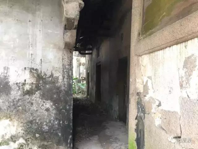 池厝渡,池厝渡抬龙头