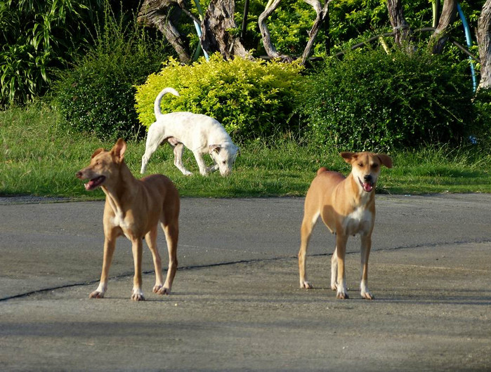 长滩之旅分享篇,长滩旅游行程