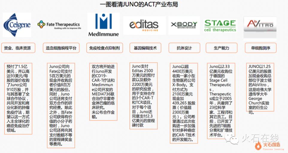 细胞治疗机构,细胞免疫治疗有哪些公司