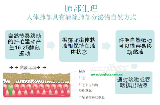 肺笛排痰器使用视频,医用肺笛效果如何
