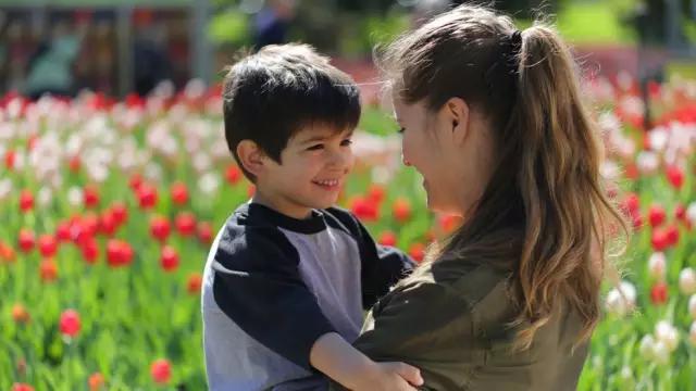郁金香花节,全世界最大的郁金香