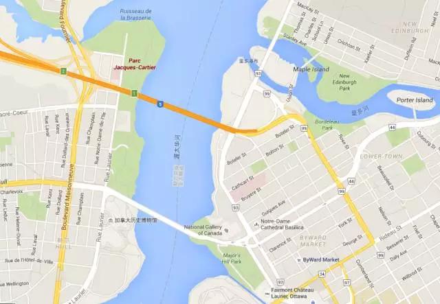 郁金香花节,全世界最大的郁金香