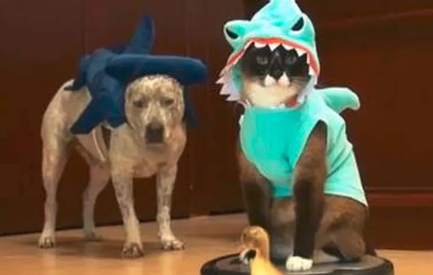 母亲节礼物不超过10元,母亲节礼物推荐不用护肤品化妆品