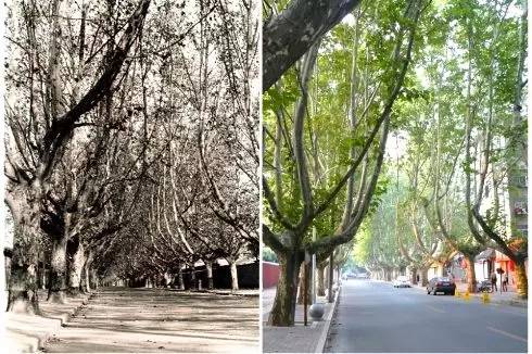 郑州京广路城市记忆,郑州南大街的回忆