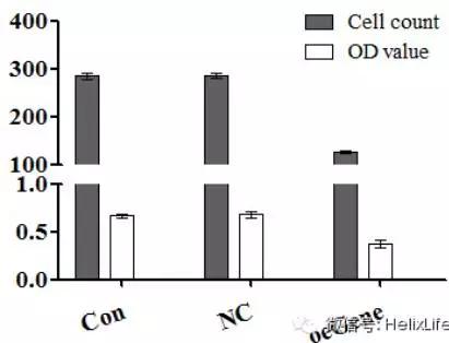 科研干货教程,sci科研图
