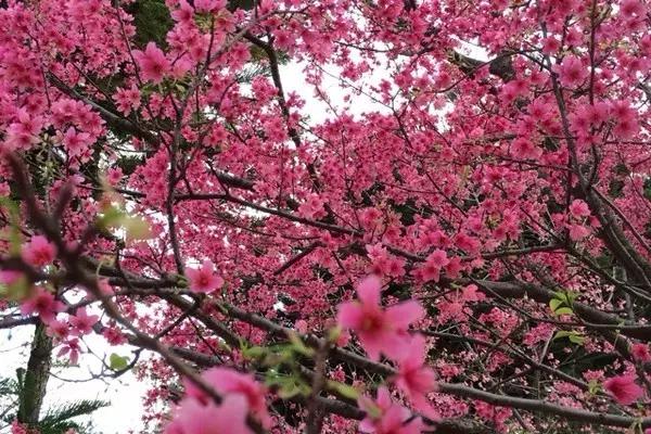 南宁旅游详细攻略,南宁旅游攻略有海吗