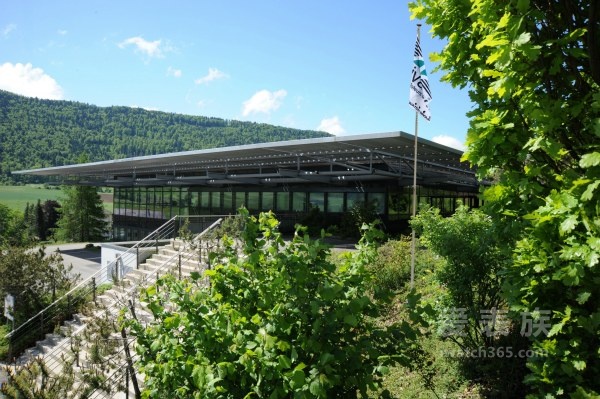 eta全系列机芯,eta瑞士石英机芯拆解