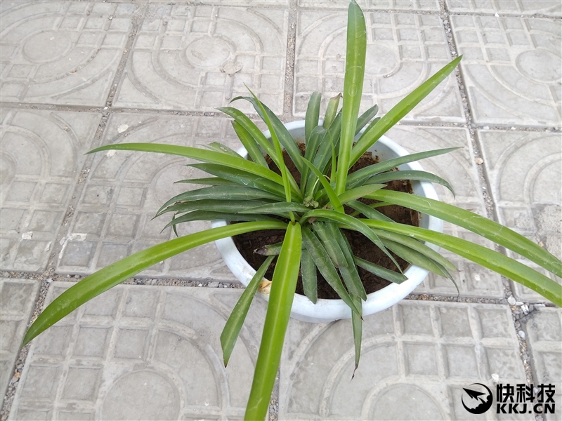 6.44寸黄金大屏！小米Max深度评测：续航惊人