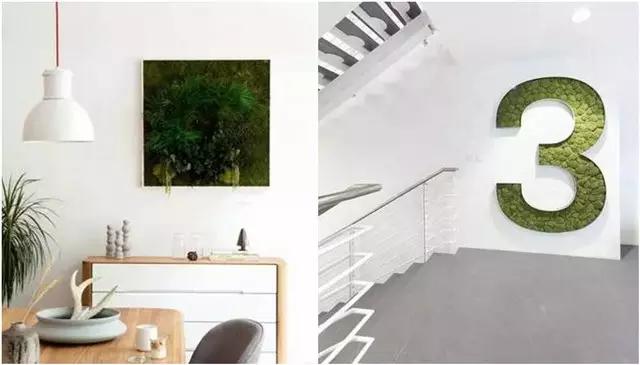 苔藓盆栽制作方法,苔藓植物盆栽制作