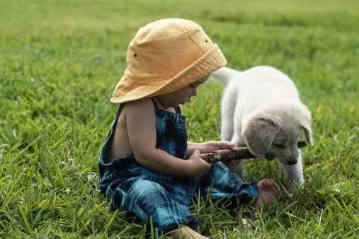 婴儿意外伤害如何急救,宝宝意外事故的急救法则