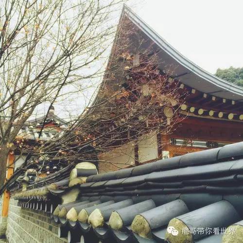 熊哥自驾游路线,熊哥自驾游全攻略