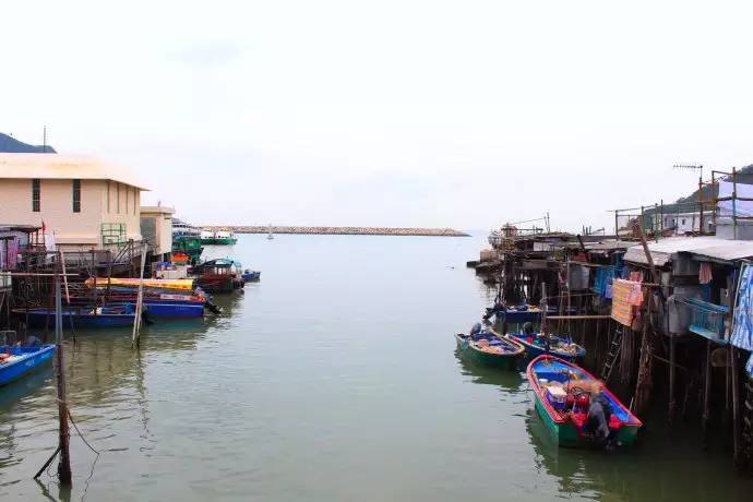 妈妈咪咪嘉年华的欢乐体验和香港郊区的生态怡然之旅