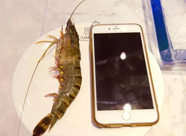 京城最贵海鲜自助餐厅,京城最过瘾的自助餐