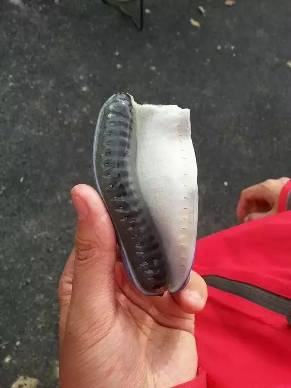 吃过这五种水果是土豪,这些水果吃过一半以上的全是土豪