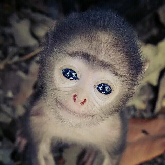 南昌女人为啥被人嫌弃,江西妹子被嫌弃