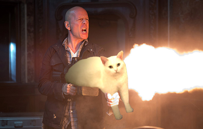 喵星人被恶搞了,喵星人下楼梯