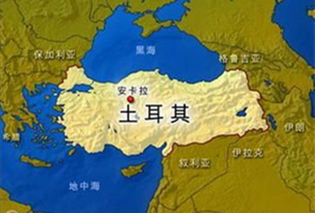 世界上拥有牛最多的国家,全球哪些国家有牛