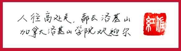 加拿大签证账户里有申请表吗 (加拿大签证资金证明需要什么材料)