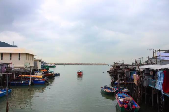 妈妈咪咪嘉年华的欢乐体验和香港郊区的生态怡然之旅