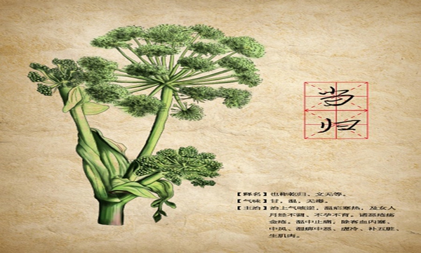 权健归铁颗粒,权健归铁阿胶效果咋样