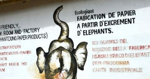 照着买就对了！旅行中最受欢迎的手信