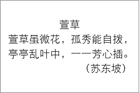 问诗取经|幽谷石竹可怜，北堂萱草忘忧