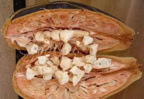 吃过这五种水果是土豪,这些水果吃过一半以上的全是土豪